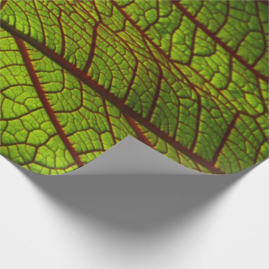 Leaf macro veins leaf veins green cadeaupapier (Hoek)