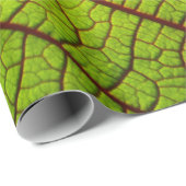 Leaf macro veins leaf veins green cadeaupapier (Rol Hoek)