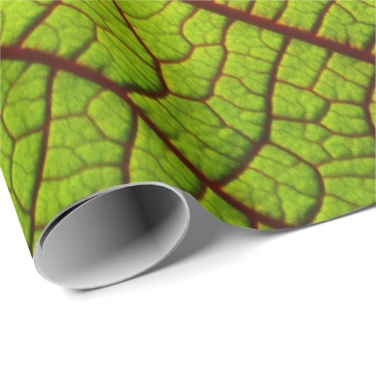 Leaf macro veins leaf veins green cadeaupapier (Rol Hoek)