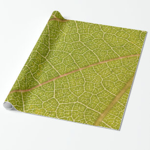 Leaf Macro Wrapping Paper Cadeaupapier
