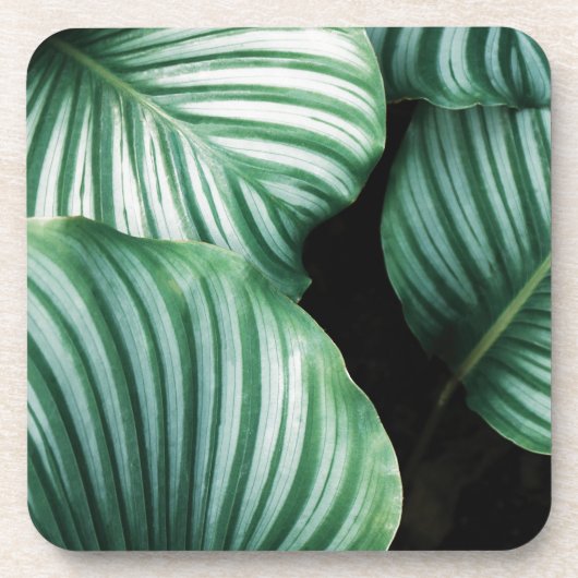 leaf me alleen bier onderzetter (Voorkant)