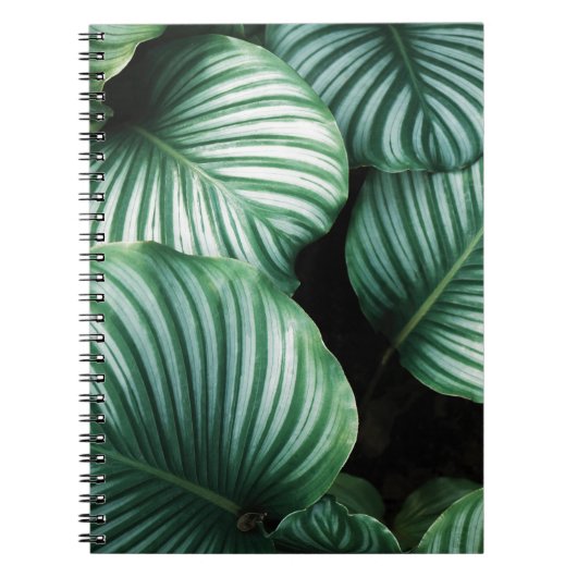 leaf me alleen notitieboek (Voorkant)