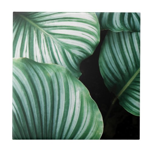 leaf me alleen tegeltje (Voorkant)