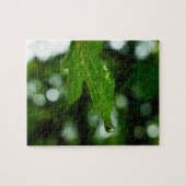 Leaf met druppel water legpuzzel (Horizontaal)