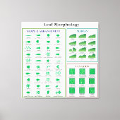 Leaf Morphology Chart Canvas Afdruk (Voorkant)