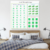 Leaf Morphology Chart Canvas Afdruk (Insitu (Slaapkamer))