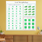Leaf Morphology Chart Canvas Afdruk (Insitu (Woonkamer))