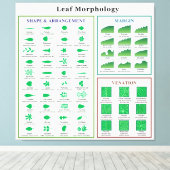 Leaf Morphology Chart Canvas Afdruk (Insitu (Houten vloer))