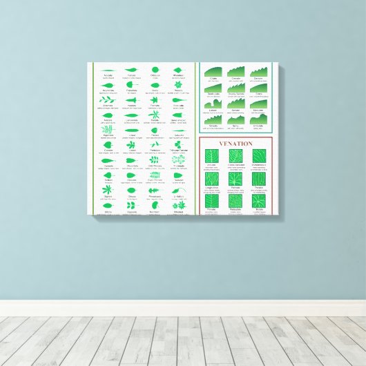 Leaf Morphology Chart Canvas Afdruk (Insitu (Houten vloer))