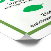 Leaf Morphology Chart Poster (Hoek)