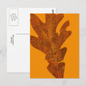 Leaf Natuur Print Briefkaart (Voorkant / Achterkant)