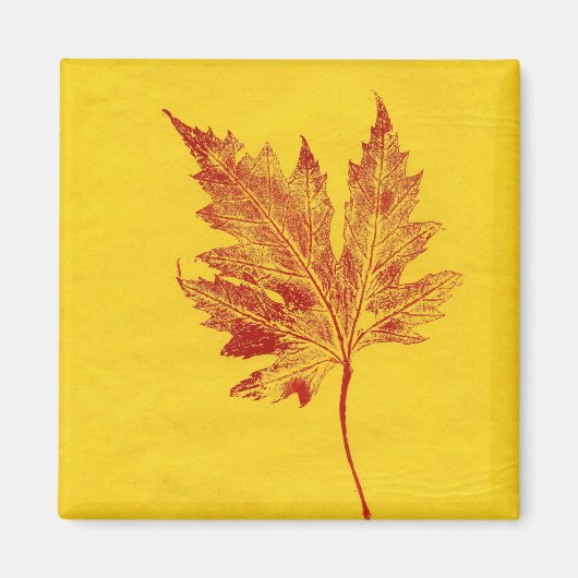 Leaf Natuur Print Magnet (Voorkant)