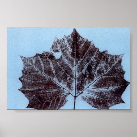 Leaf Natuur Print Mini-Poster (Voorkant)