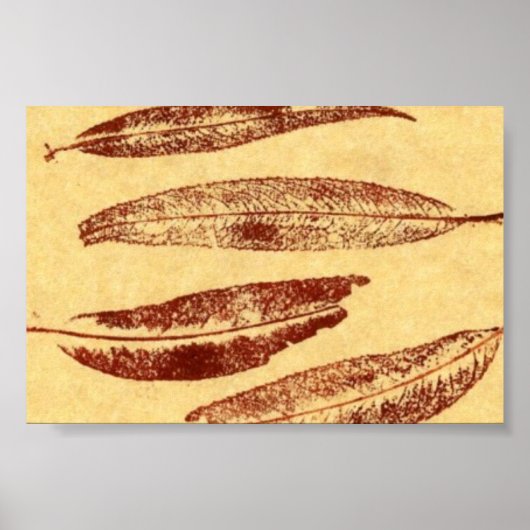 Leaf Natuur Print Mini-Poster (Voorkant)