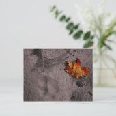 Leaf Next to Footprint Briefkaart (Staand voorkant)