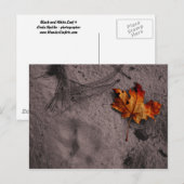 Leaf Next to Footprint Briefkaart (Voorkant / Achterkant)