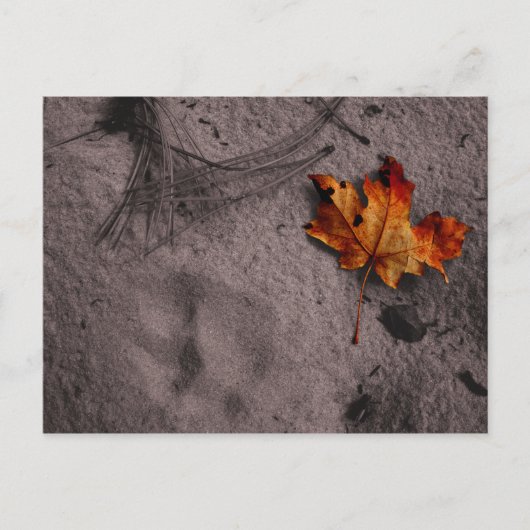 Leaf Next to Footprint Briefkaart (Voorkant)