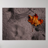 Leaf Next to Mountain Lion Footprint Poster (Voorkant)
