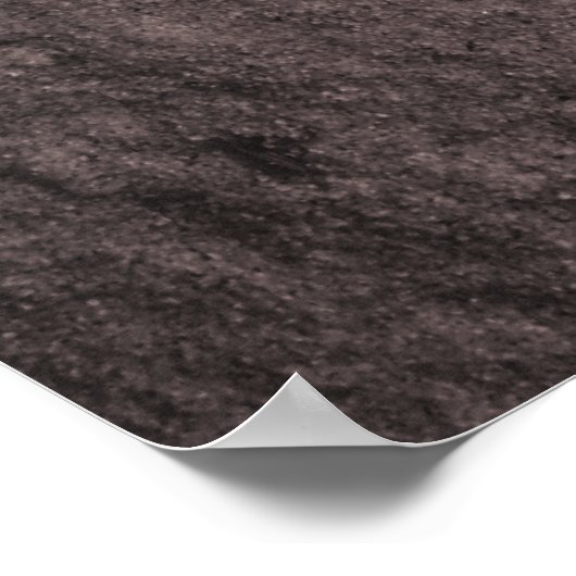 Leaf Next to Mountain Lion Footprint Poster (Hoek)