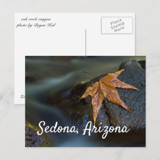 Leaf of Gold in Sedona, Arizona Briefkaart (Voorkant / Achterkant)