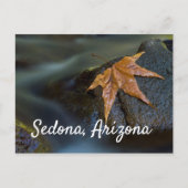 Leaf of Gold in Sedona, Arizona Briefkaart (Voorkant)