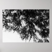 Leaf overhang poster (Voorkant)