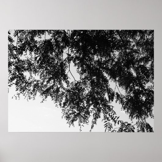 Leaf overhang poster (Voorkant)