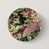 Leaf Pin Ronde Button 5,7 Cm (Voorkant)