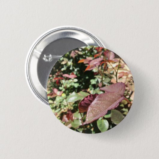 Leaf Pin Ronde Button 5,7 Cm (Voorkant /achterkant)