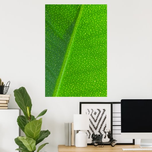Leaf Poster (Thuiskantoor)