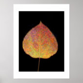 Leaf Poster (Voorkant)