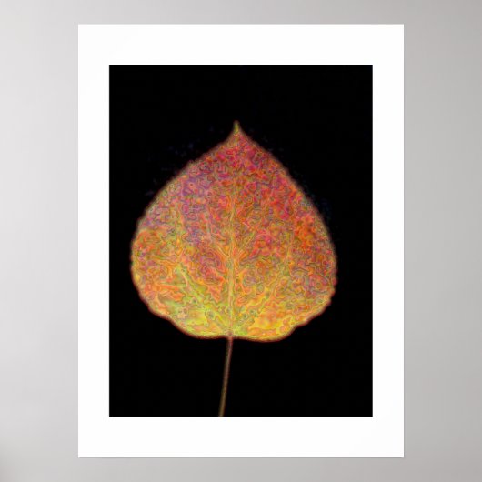 Leaf Poster (Voorkant)