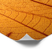 Leaf Print (Hoek)