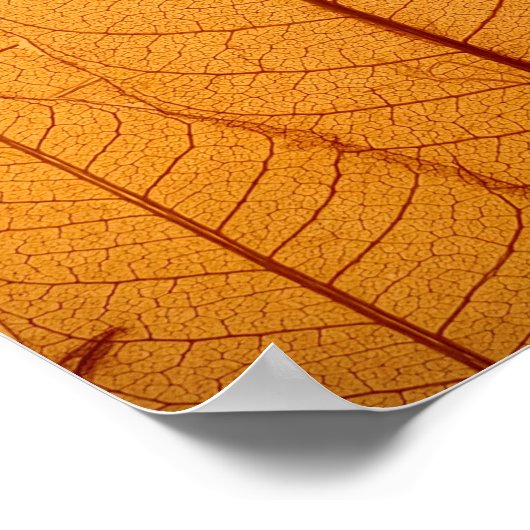 Leaf Print (Hoek)