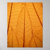 Leaf Print (Voorkant)