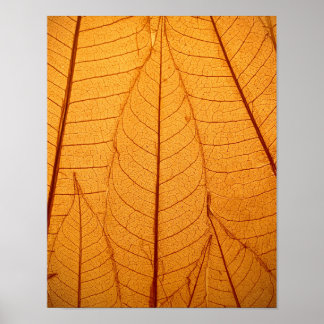Leaf Print