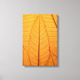 Leaf Print