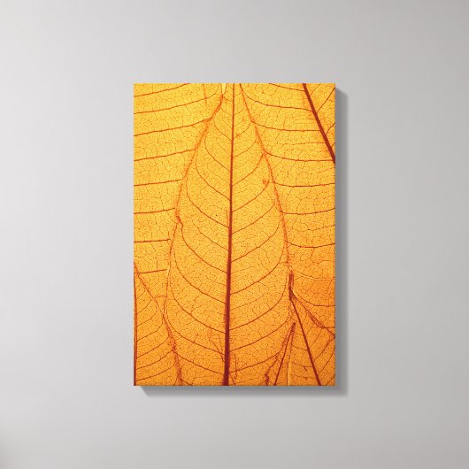 Leaf Print (Voorkant)