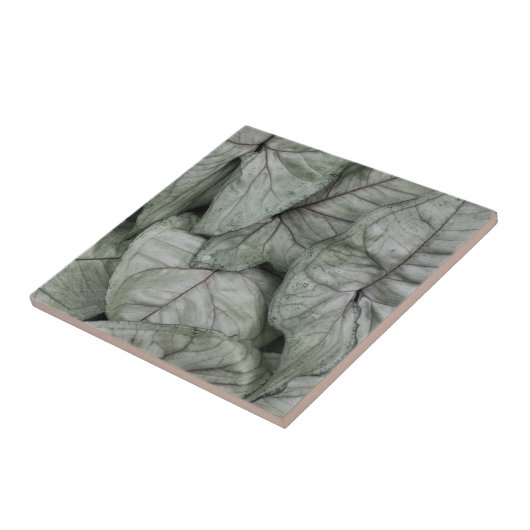 Leaf Print Tegeltje (Zijkant)