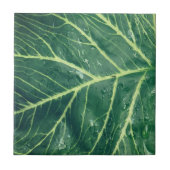 Leaf Print Tegeltje (Voorkant)