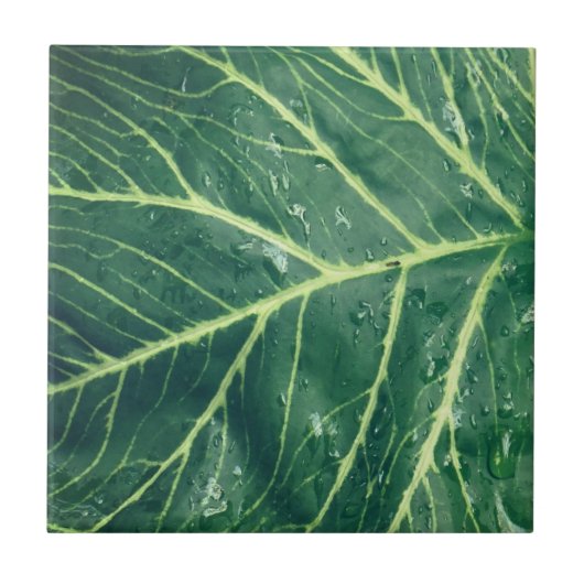 Leaf Print Tegeltje (Voorkant)