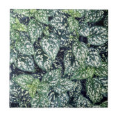 Leaf Print Tegeltje (Voorkant)