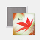 Leaf Refkoelkast Magnet (Voorkant / Achterkant)