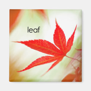 Leaf Refkoelkast Magnet