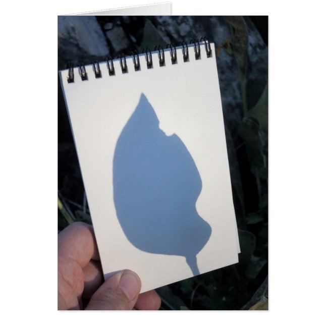 Leaf Shadow 2014 (Voorkant)