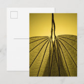 Leaf Skeleton Briefkaart (Voorkant / Achterkant)