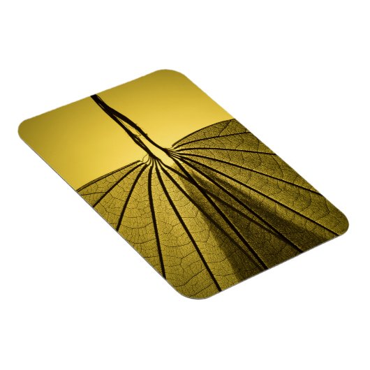 Leaf Skeleton Magneet (Rechterzijde)