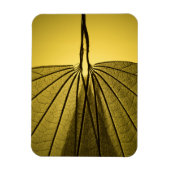 Leaf Skeleton Magneet (Verticaal)