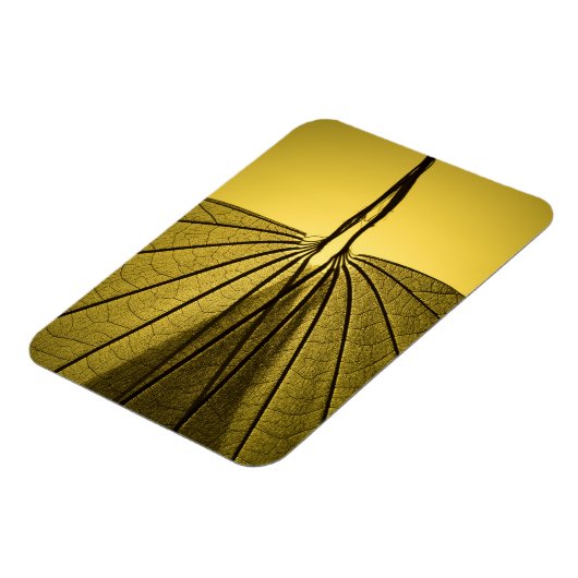 Leaf Skeleton Magneet (Linkerzijde)