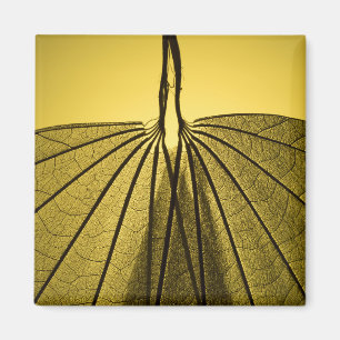 Leaf Skeleton Magneet